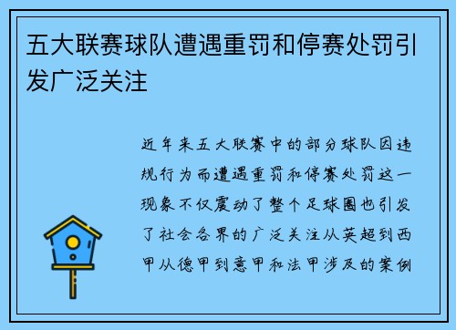 五大联赛球队遭遇重罚和停赛处罚引发广泛关注 