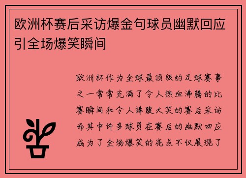 欧洲杯赛后采访爆金句球员幽默回应引全场爆笑瞬间